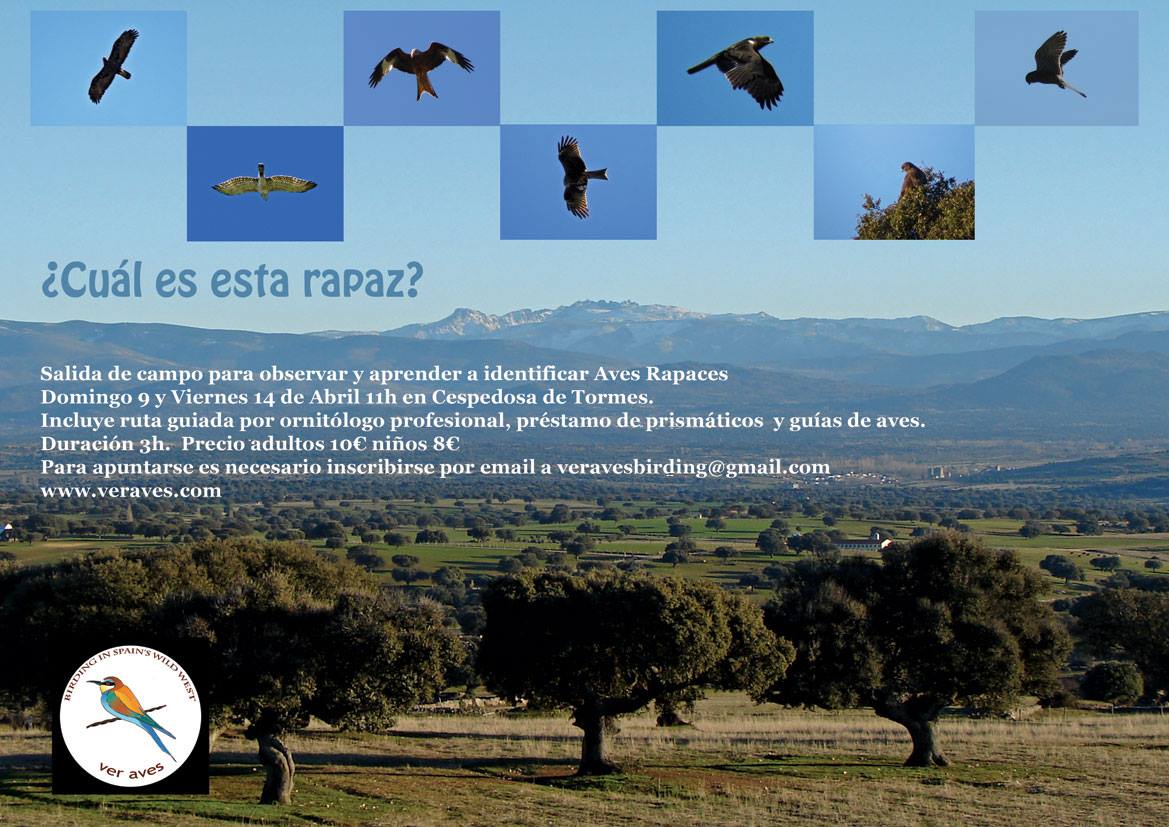 Hotel_Torres's tweet image. ¿Qué planes tienes para el Domingo 9 y el Viernes 14 de Abril? 
 Te proponemos este plan de lo más natural y diferente al aire libre #pajaro