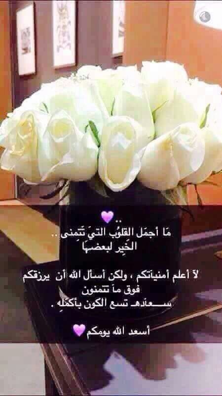 أحمد الموالي tweet media