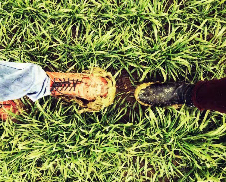 fu_ella's tweet photo. What makes my life so real #SixthToneAtOne : rain, flood, mud, pollution, farmers, instant noodles, team, my editor @qianjinghua and hotpot! https://t.co/bVTu4njOS1