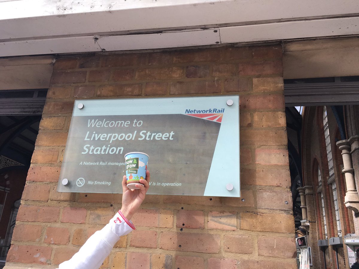 StrongstemsHE's tweet photo. Where did these loveable seeds go on their adventure? #sowandgrowuk #teamawan #familyfun #6kids2adults #letshavefun @giyireland @innocent https://t.co/c6ne93J5LD