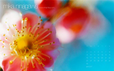 蜷川実花情報 Ninamikainfo Twitter