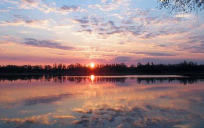 TTISIIE's tweet image. To be a #EmpatheticLeader, start by watching the people around you &amp;amp; wonder how they’re feeling. #TheCompleteLeader

buff.ly/2oZg0TJ