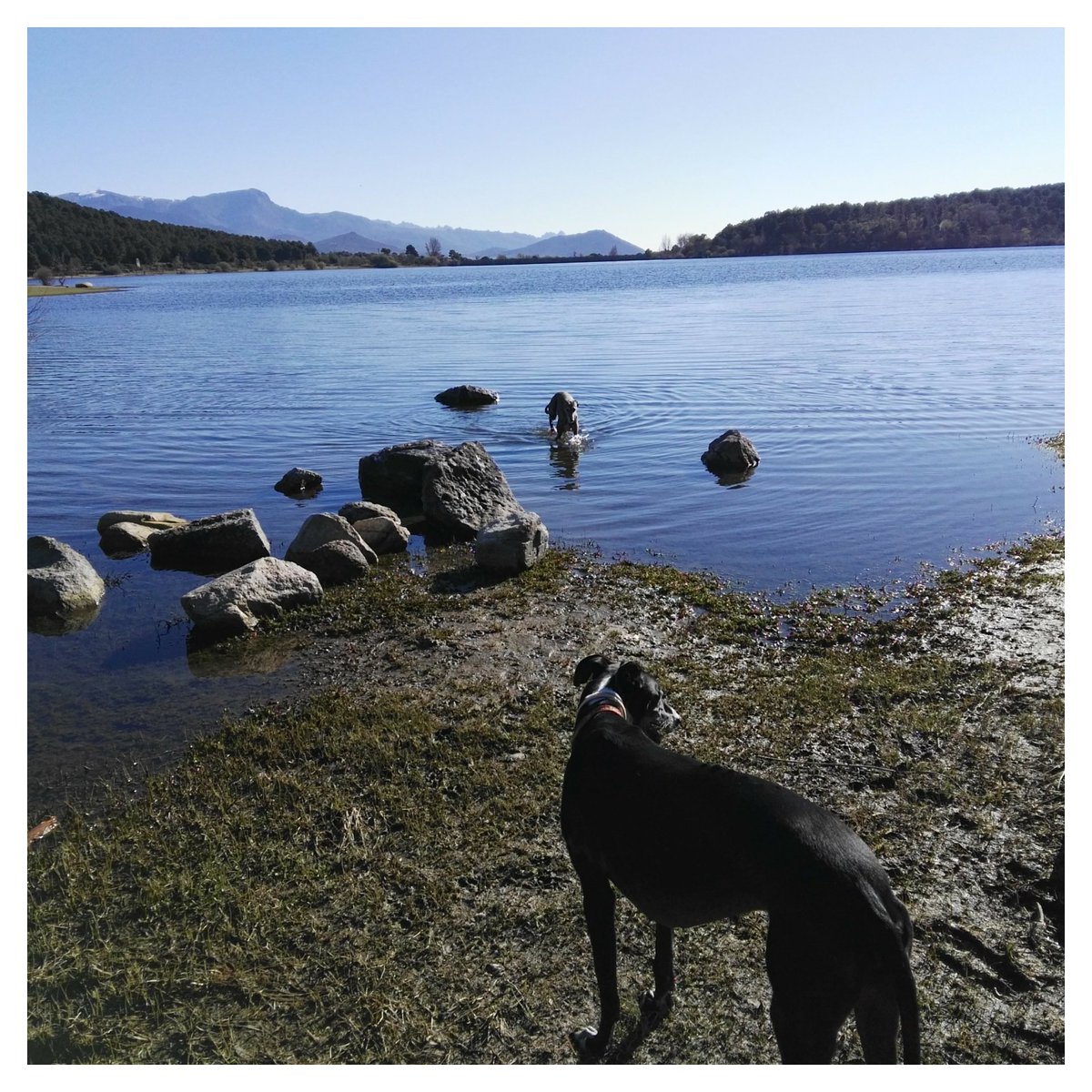 Disfruta del aquí y del ahora. No busques la perfección porque hoy es así y mañana, bendito sea, será distinto. #CarpeDiem #FelizJueves