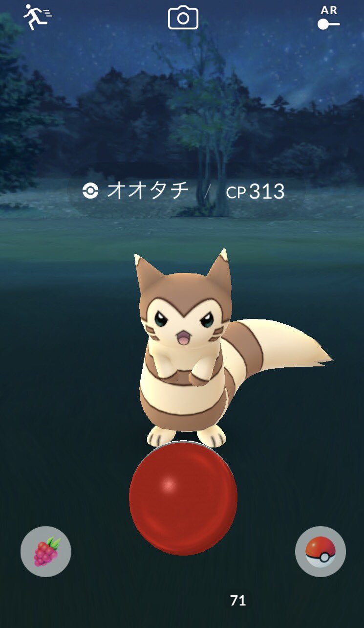 Norikai 代々木公園のオオタチ ポケモンgo T Co R7atstddbz Twitter