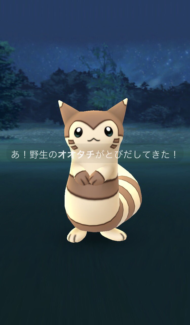 Norikai 代々木公園のオオタチ ポケモンgo T Co R7atstddbz Twitter