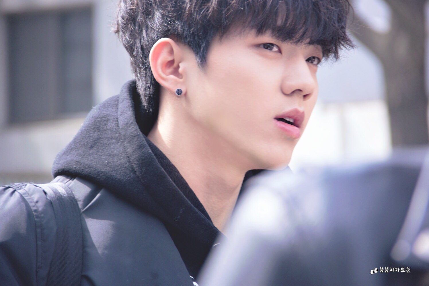 붐붐치카도운 (@bbckdowoon) / X