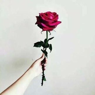 yourBunga's tweet photo. Not a good day! Jari teseliuh! Bus buat hal! Barang tetinggal ! Duit habis ! Lolls 😂 hurmm 😌 https://t.co/Vo0SHbUgPg