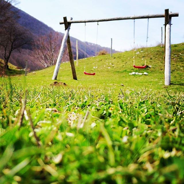 Repost Instagram <a href="/vesponauta/">giovanni carotenuto</a>

Spring
#campitellomatese #molise