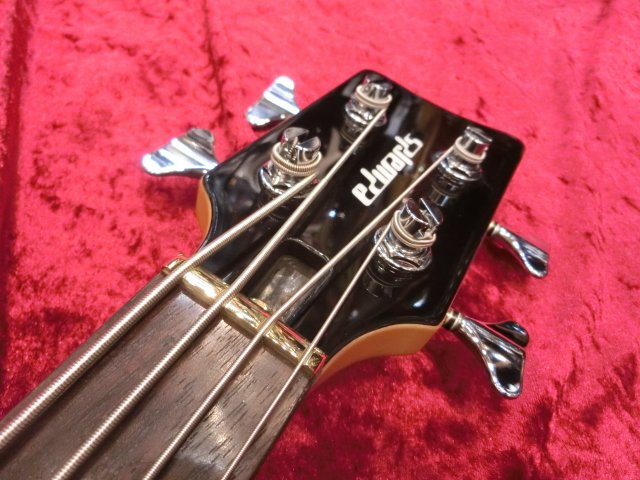 E-GARAGE 難波章浩モデル HI-STANDARD Edwards