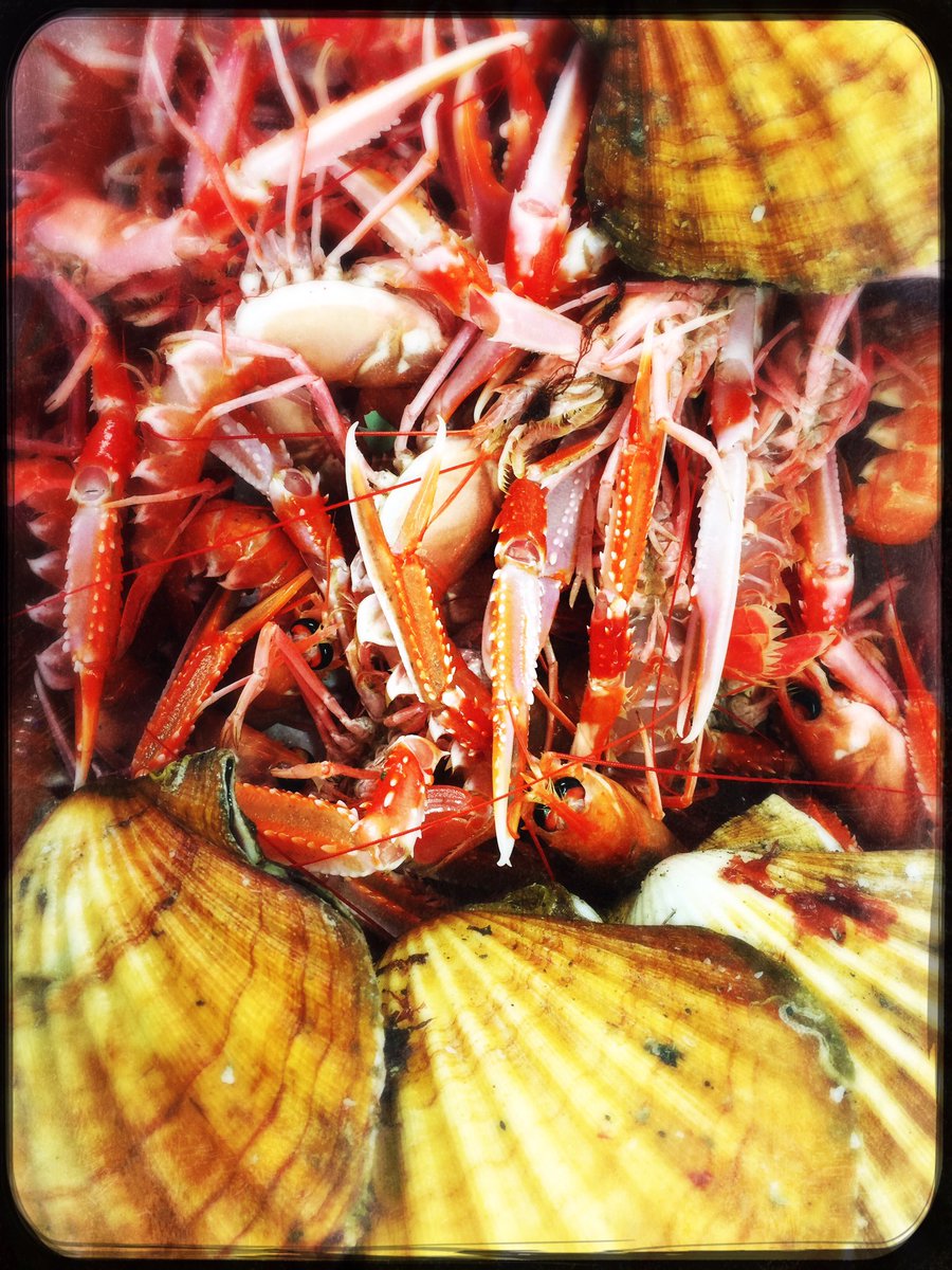 eatandersons's tweet photo. Our First Delivery of the Season! Skye Langoustines and Double Dived Scallops from Loch Sligachan!!! Beauties!!! @OchilFoods https://t.co/qSTOqciF8v