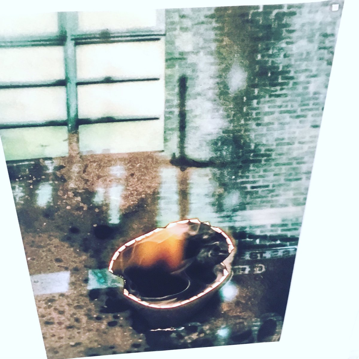 DaphBertrand's tweet photo. #Expo #polaroid #GalerieEphemere #Namur  @CanalC_TV https://t.co/fRfHeaUczS