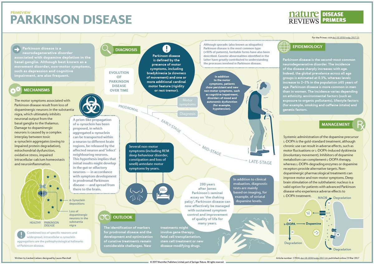 For #WorldParkinsonDay check out our illustrated PrimeView, which focuses on diagnosis go.nature.com/2nUBWzA:
