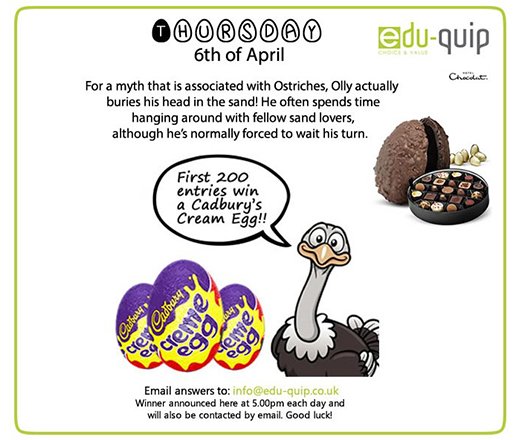 Edu-Quip tweet media