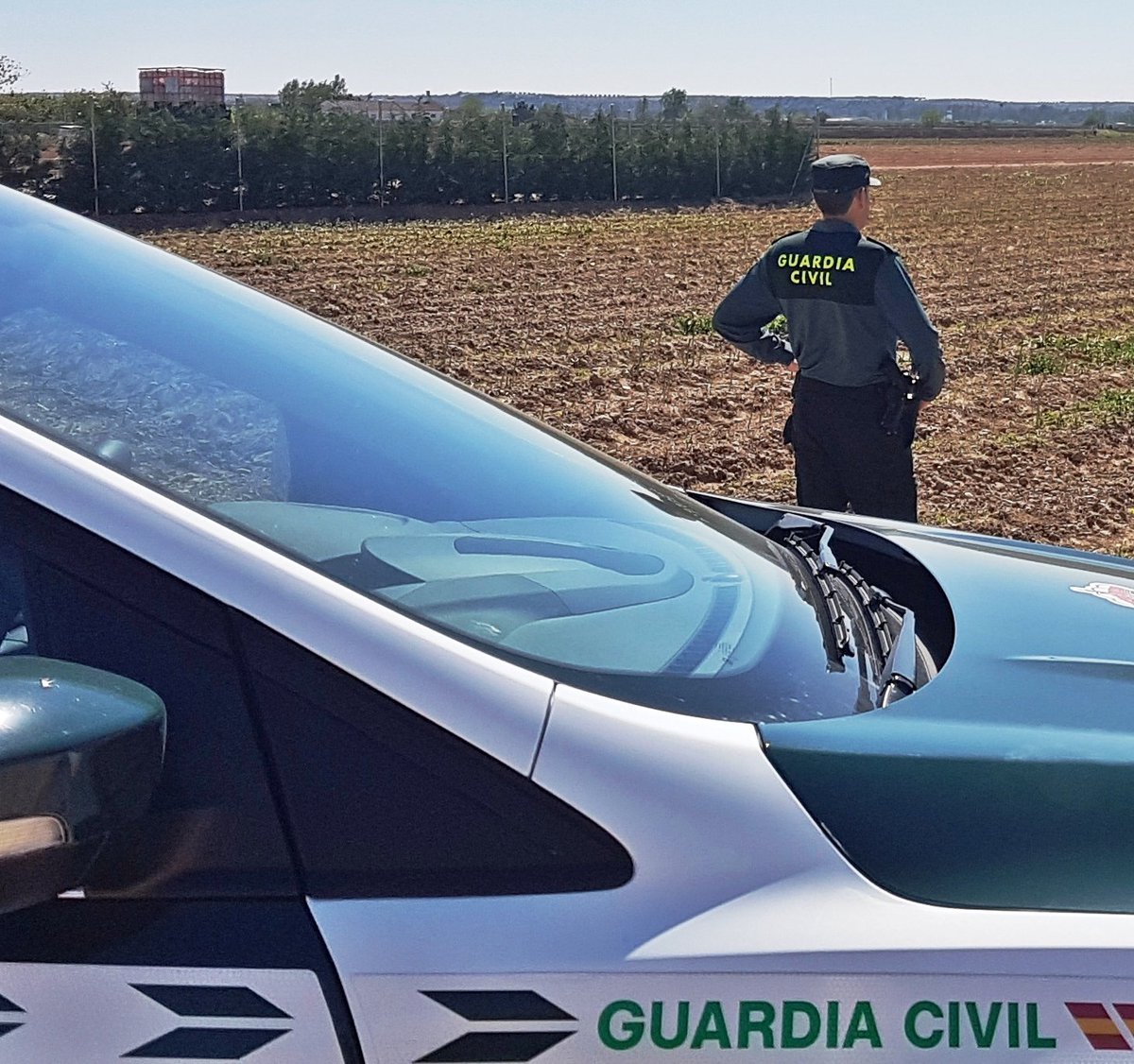 La <a href="/guardiacivil/">Guardia Civil</a>  investigó a 2 vecinos de #Badajoz por la sustracción de 700Kg de espárragos en #PuebladelaCalzada: goo.gl/pz3Nd7