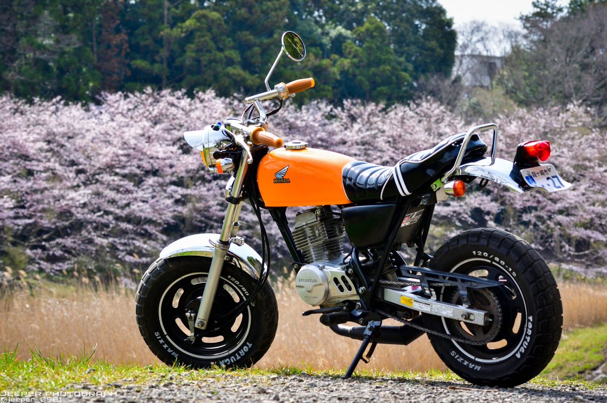 おのっち 家の裏の調整池の桜が毎年綺麗なので 満開ではないですが天気が崩れる前に撮ってきました エイプ買う前からずっとこの景色が撮りたかったんだよなぁ 嬉しいです 4mini Honda Ape50 エイプ 桜 桜とバイク