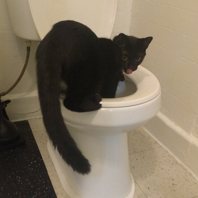 Like mother like son https://t.co/bgoUrmKbjd