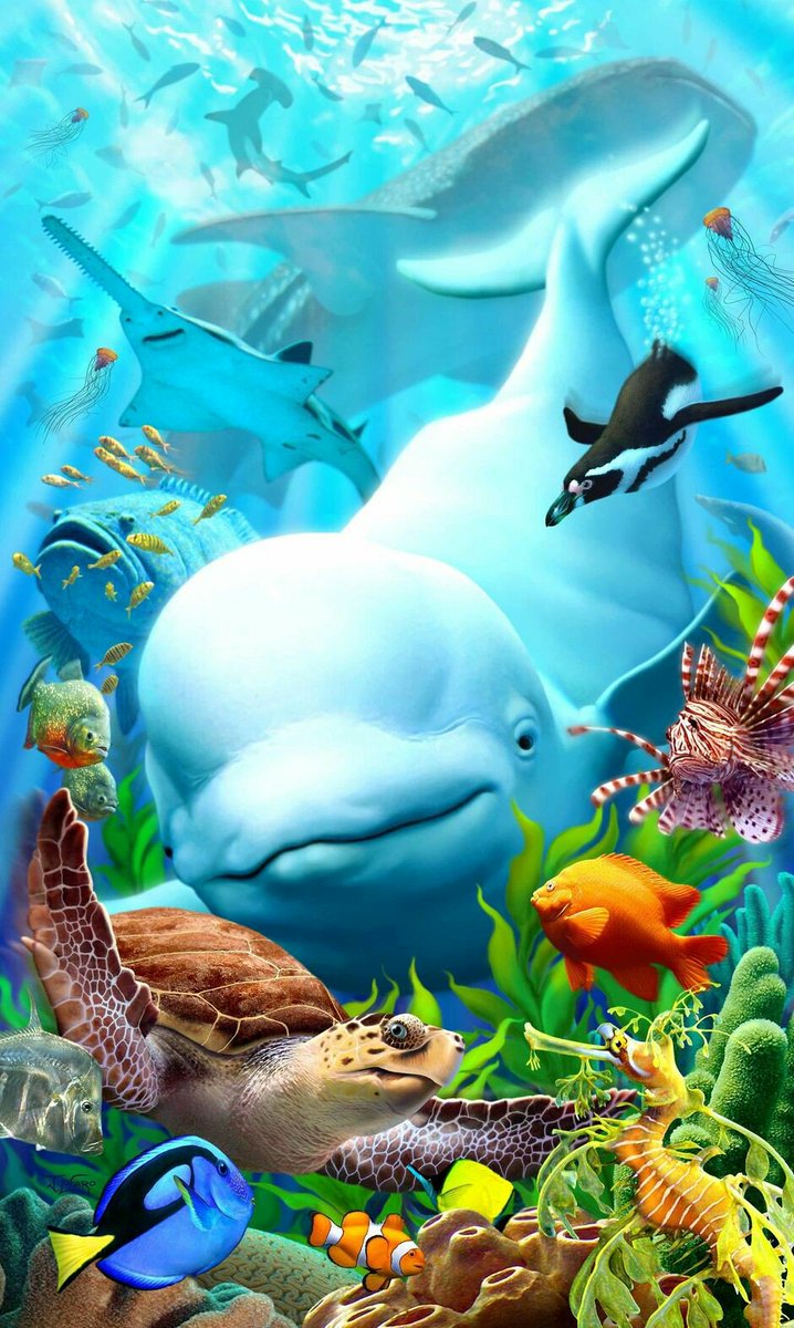 Fishbig83's tweet image. 