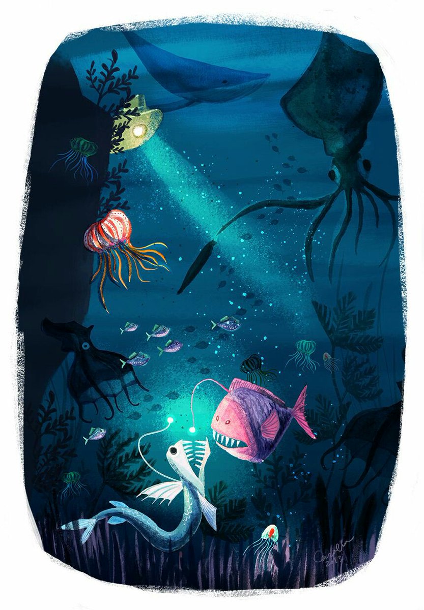 Fishbig83's tweet image. 