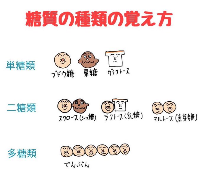 ゴロ 解剖生理イラストさん の 17年4月 のツイート一覧 1 Whotwi グラフィカルtwitter分析 ゴロ 解剖生理イラストさん の 17年4月 のツイート一覧 1 Whotwi グラフィカルtwitter分析