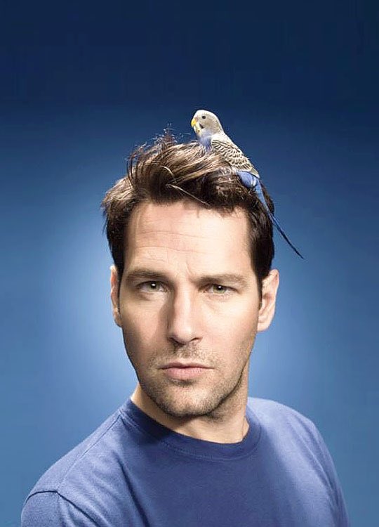 Happy Birthday Paul Rudd!!!!!!!!!      have an amazing day    