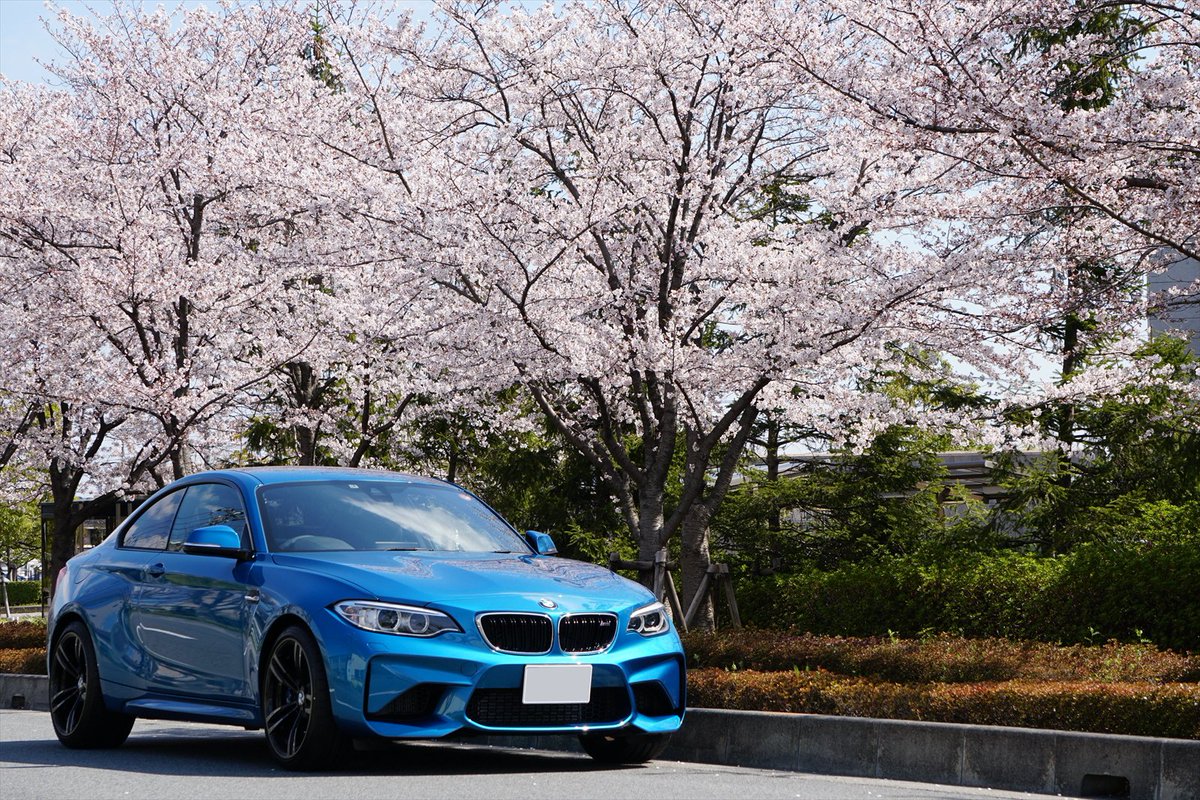 BMWCarLife's tweet photo. さくら咲く季節。新たな相棒と共に。 #BMWSAKURA https://t.co/vx6J8p3KKw