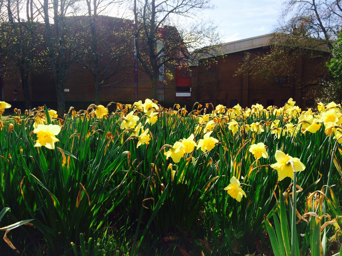 SussexUniSport's tweet photo. Reminder that on Bank Hol Monday (1 May), Falmer Sports Complex is open 9am-6pm &amp; the Sport Centre will be closed: https://t.co/vX7kZBBWtK https://t.co/p4NG7LvS5b