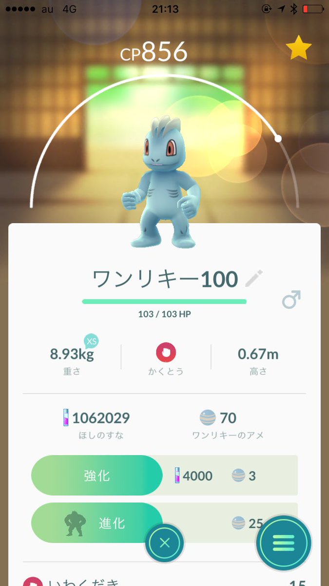 ポケモンgo ワンリキーの巣になった代々木公園は土日の花見客に注意 乱獲は早朝か夜がオススメ ポケモンgo攻略まとめ速報