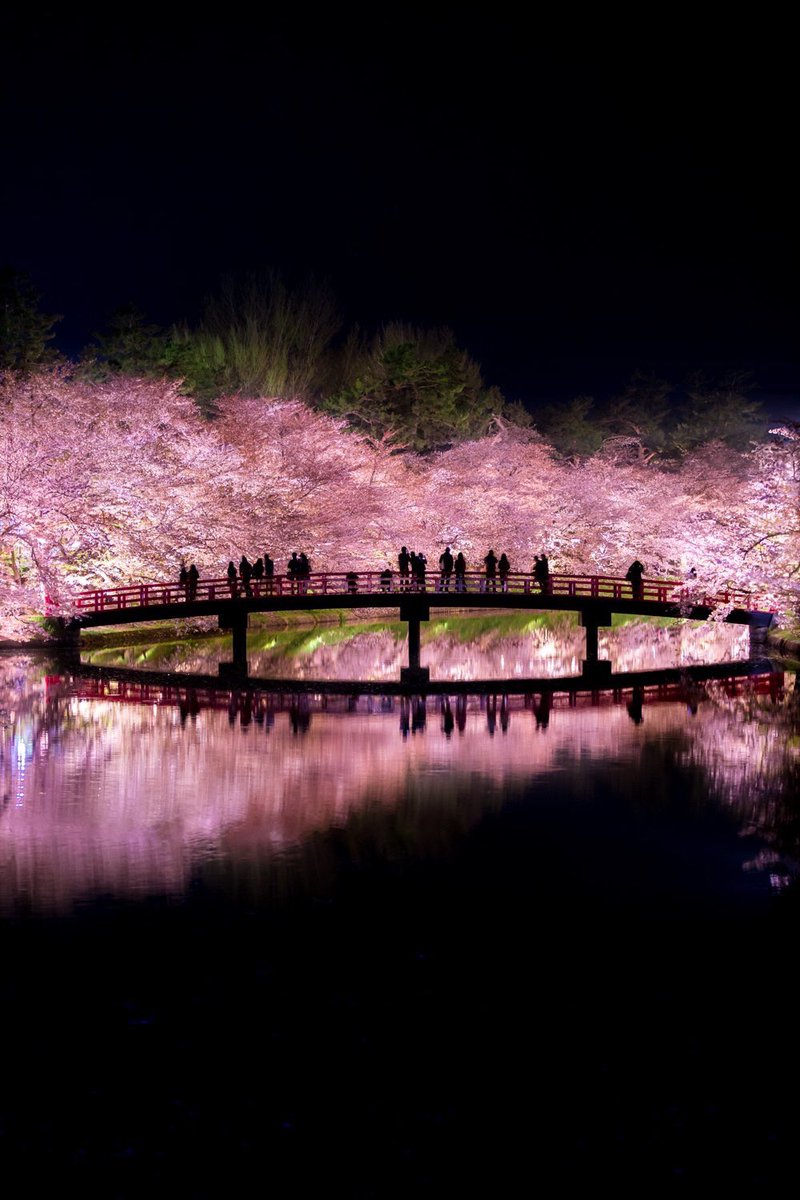 桜咲く日本の景色w美しすぎて近所の桜がただの花にしか思えない 話題の画像プラス