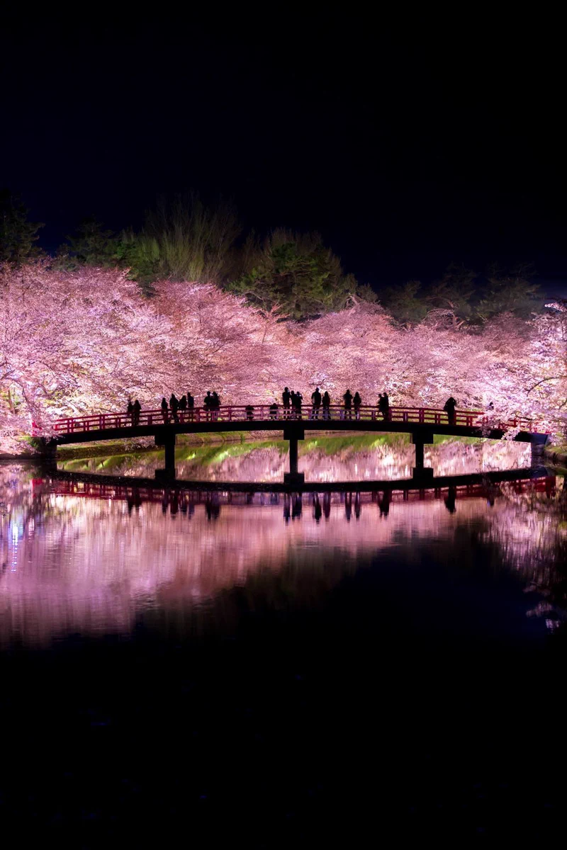 桜咲く日本の景色w美しすぎて近所の桜がただの花にしか思えないwww