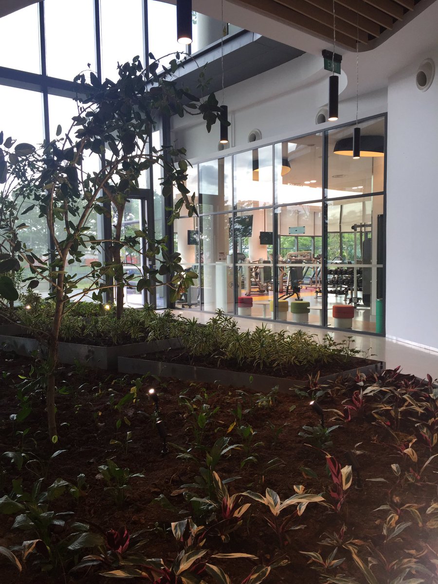 LucieWassink's tweet image. Congratulating @Unilever with their beautifull  new green and sustainable building in Jakarta . @AgroBericht @NLinIndonesia