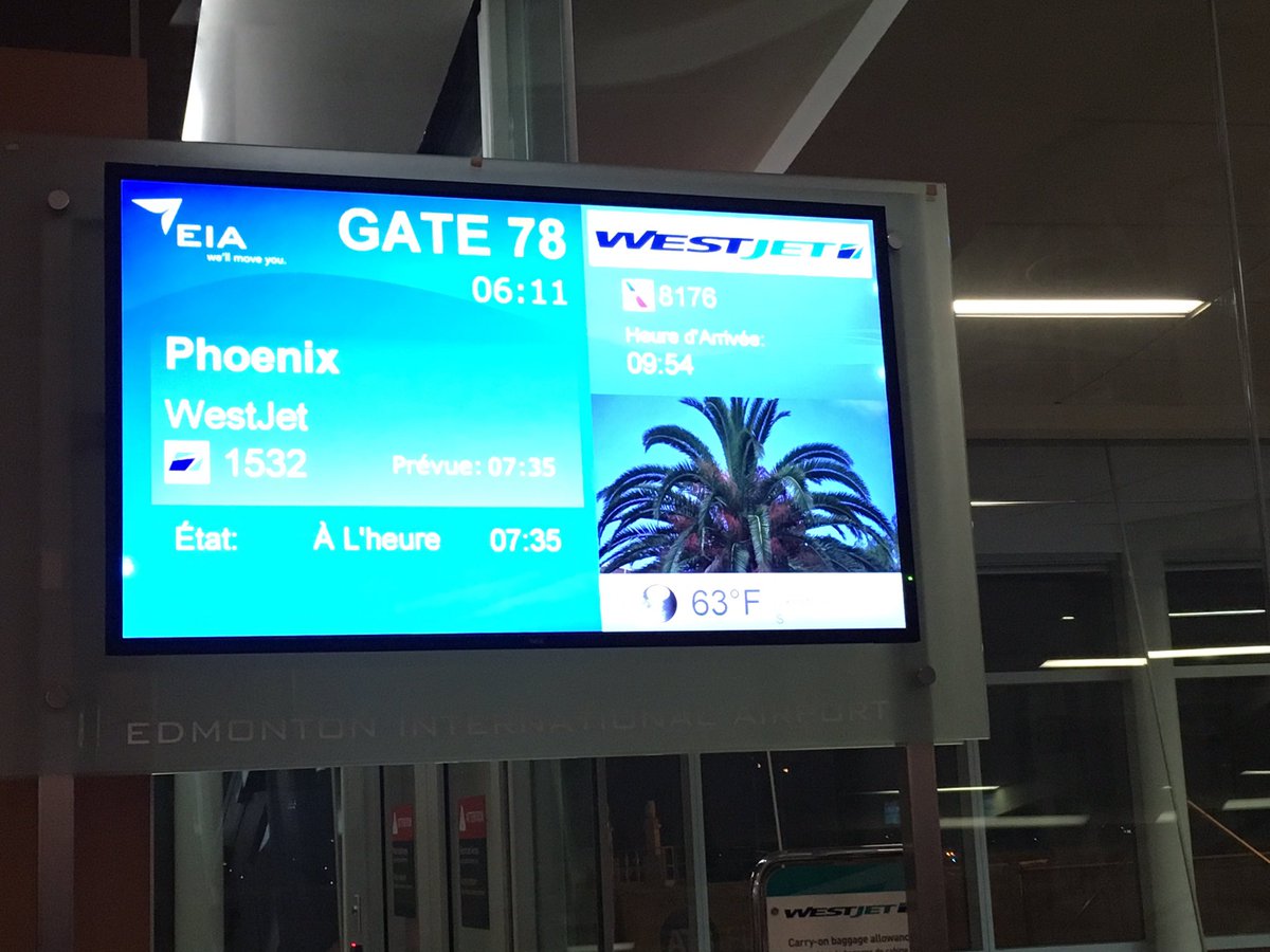 DestinationDerb's tweet image. B'Elanna and Sniper are off to San Antonio, Texas to skate with the Heart of Texas Skaters! #tacos #texmex #skatepark #trailskating #bbq