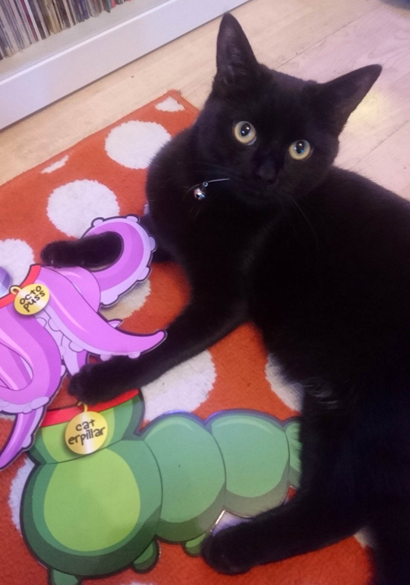 oxmeinfo's tweet image. That's all from #OAhour today #oxmekitty @ApprenticeShep remember to sign up for apprenticeship opportunities at ow.ly/TpwD30aCCnO