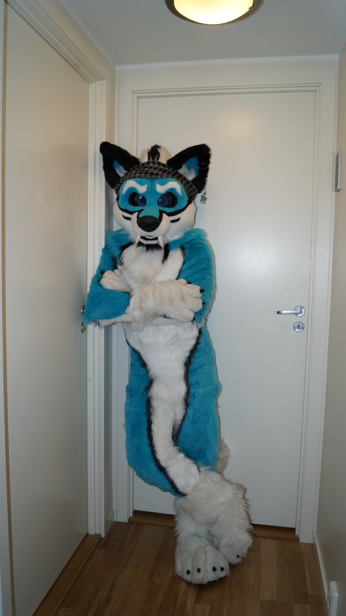 KenkoSW's tweet photo. walls are nice to lean on to... x)
#furryfandom #omgfurries #fursuiter #fullsuit #fullsuiter #saberwolf #bluecreature https://t.co/OzGmuZXIBH