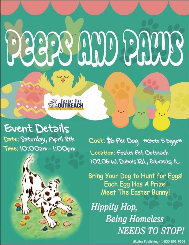 KayleeKirk35's tweet photo. event is this saturday!! #findaforeverhome @FpoPets https://t.co/5EbQJ3mhEY