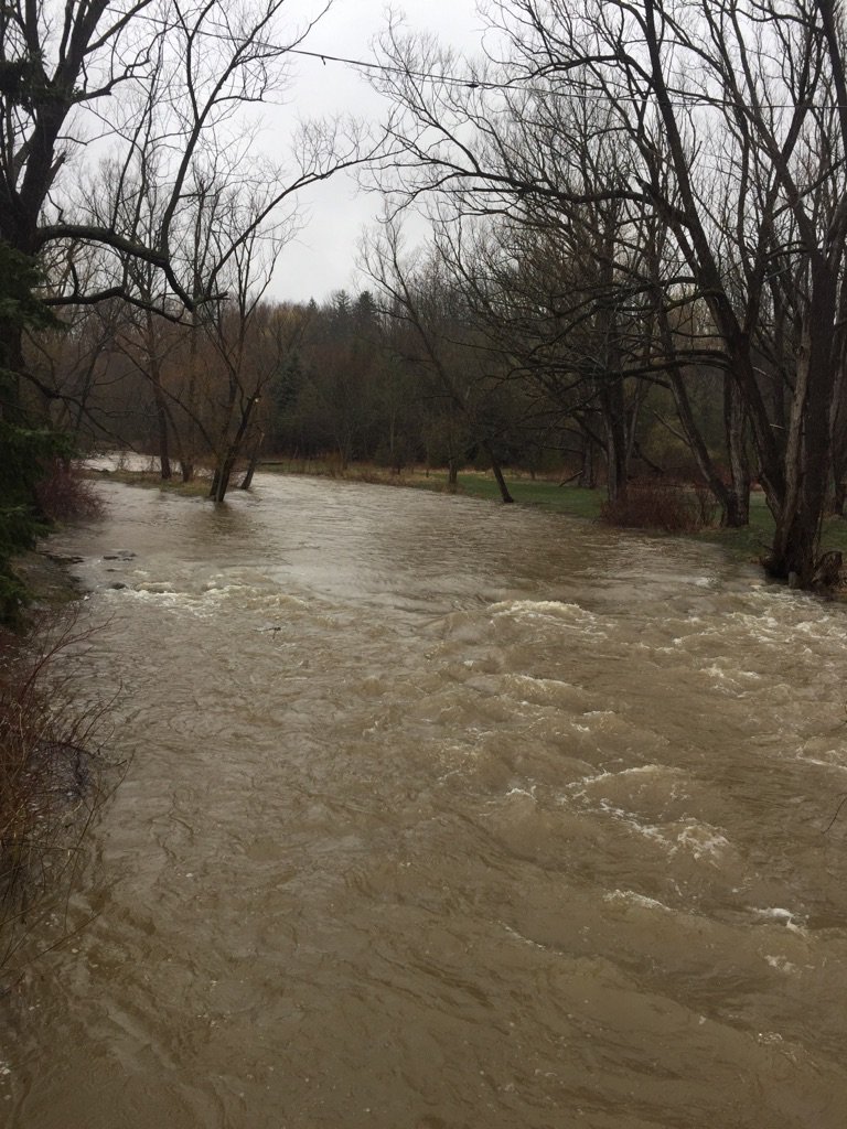 Conservation Halton tweet media