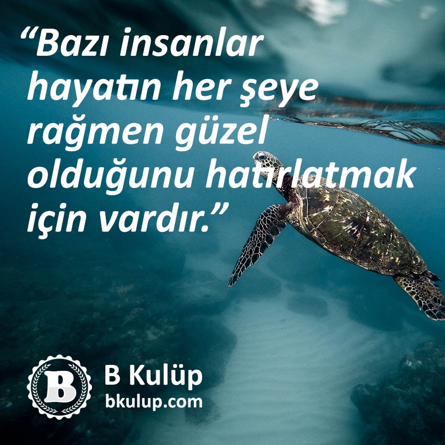 Herşeye rağmen hayatın güzelliğini size hatırlatan kişileri bu mesajın altında etiketleyebilirsiniz. 💞