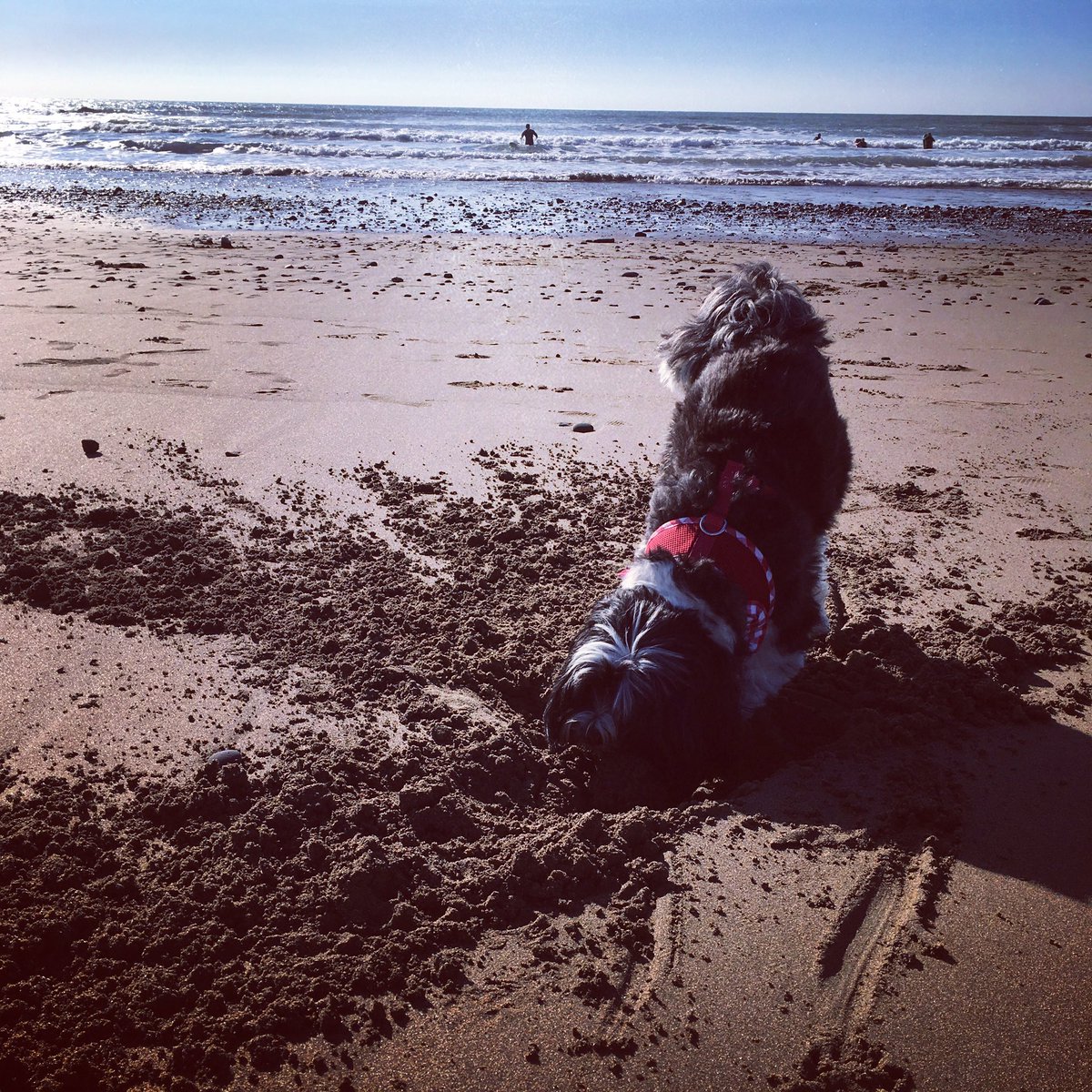 ColbourneSarah's tweet image. Today has looked a lot like this......