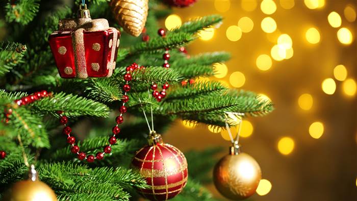 DNPscience's tweet photo. Today is the #AromaDay! 😉
Another aroma:
🌲Aroma of #Christmas trees🌲
#Science #chemistry #Plant #trees https://t.co/1Kfq4B3742