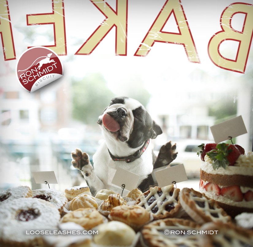 RonSchmidtPhoto's tweet photo. @TODAYPets. Thought you'd get a kick out of how this photographer is capturing Man's Best Friend in a whole new light... https://t.co/22k7scCXhr