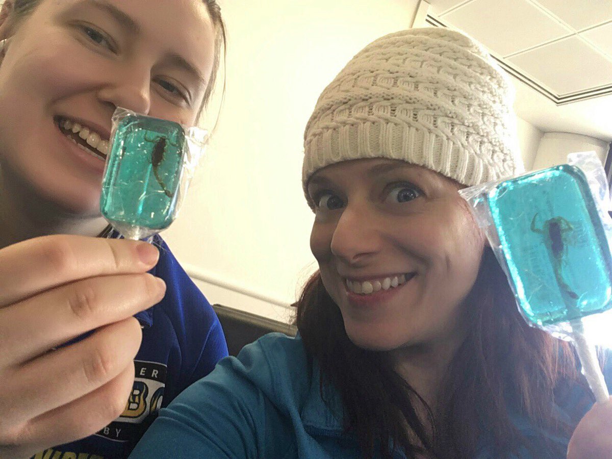 DestinationDerb's tweet image. Our skaters are waiting for their flight to San Antonio from Phoenix, AZ! And they have real scorpion lollipops! #toughgirls #protein #phx