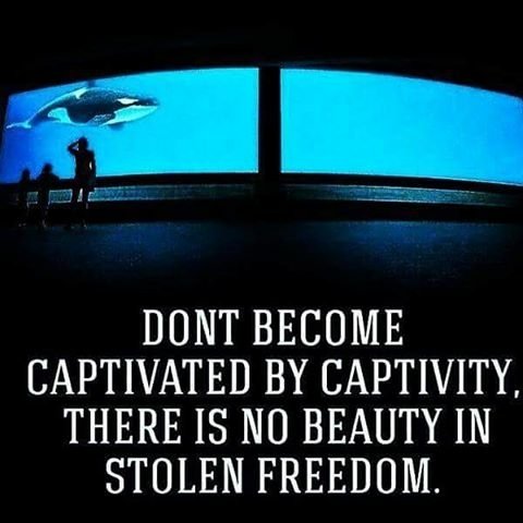 WakeupPeopIe's tweet photo. https://t.co/CS9uvST5QK