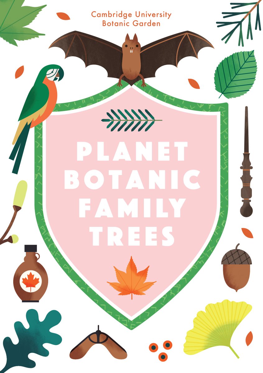 CUBG Learning tweet media