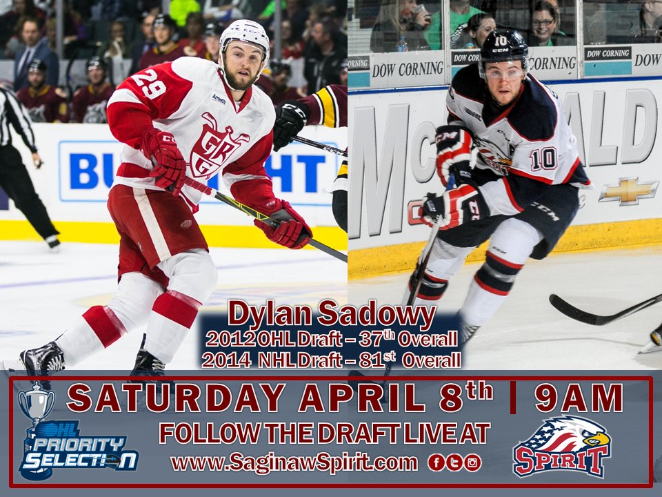 SpiritHockey's tweet photo. In the 2012 #OHLDraft the #Spirit selected @dsadowy10 as the 37th overall pick.

Sadowy currently plays for the @griffinshockey of the AHL https://t.co/b3nLQLu3QJ