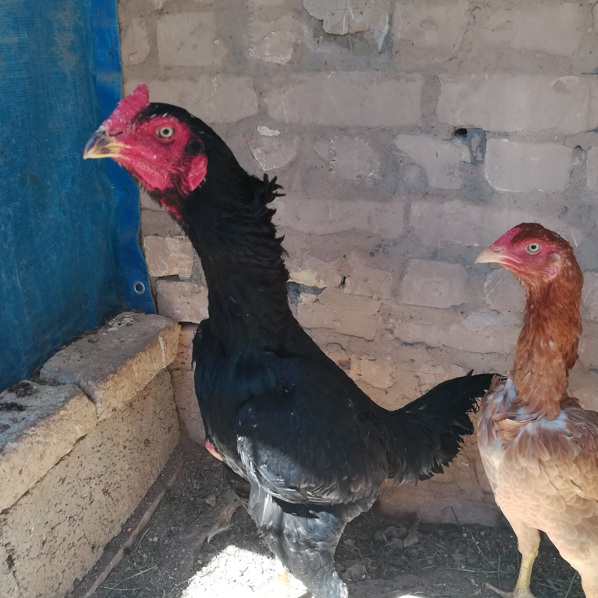 ayad.zeidan (@ayadzeidan) on Twitter photo 