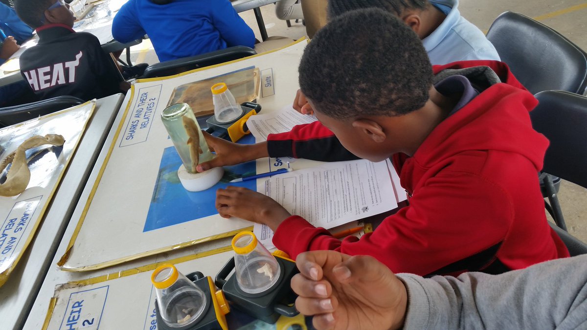 Science in action at CES! <a href="/MDCPS/">Miami-Dade Schools</a> @MiamiSup <a href="/MDCPSNorth/">M-DCPS North Region</a> @STEMDesignation @NROSup