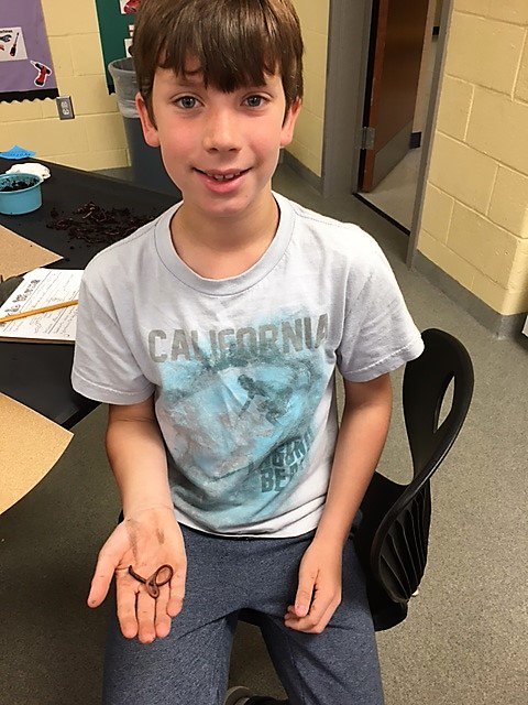 IrmoElementary's tweet photo. IES 4th grade scientists at work studying invertebrates. @LexRich5 @TheNewIrmoNews #learningisfun https://t.co/a210oNedOo