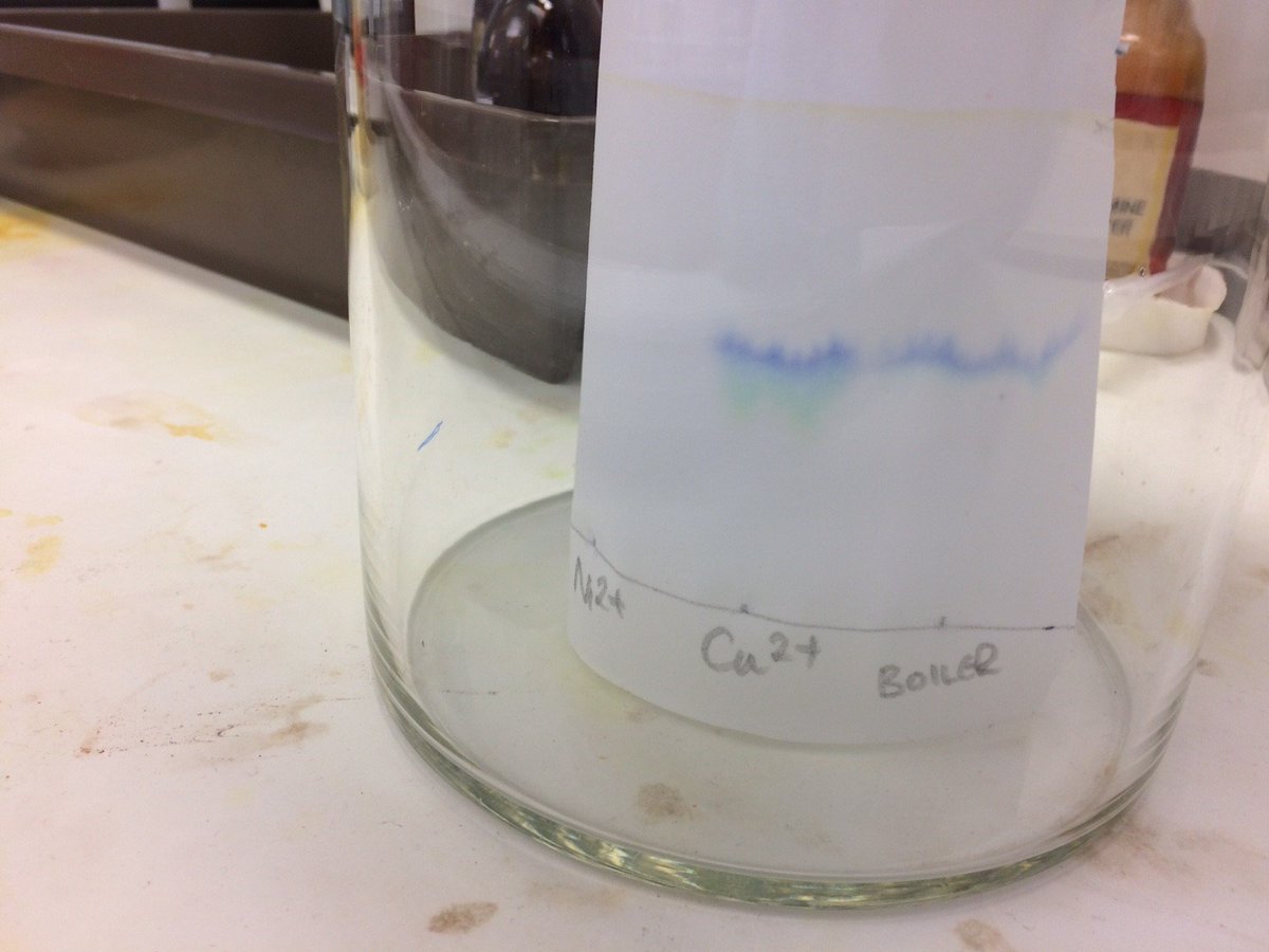 wforceChemistry's tweet photo. Chromatography of transition metal ions as part of "boiler water" toxicology prac. Ethanoate:HCl solvent; brill reactions. Copper/cobalt! https://t.co/AA39oN6XFn