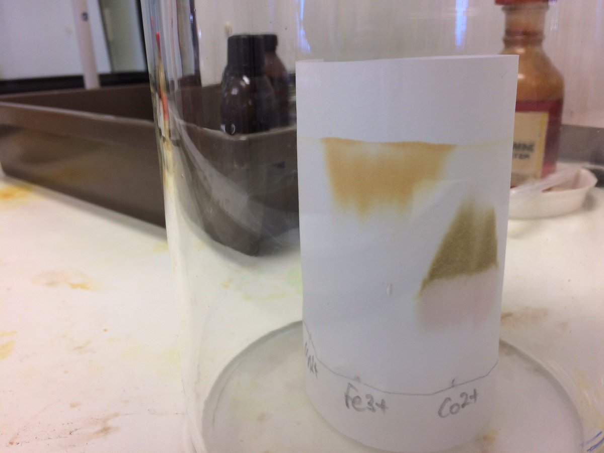 wforceChemistry's tweet photo. Further reaction with ammonia to visualise the spots. Colour chemistry! Can't think why Ni2+ was utterly uninterested? Ace chemistry lesson. https://t.co/ske9EaDPHf