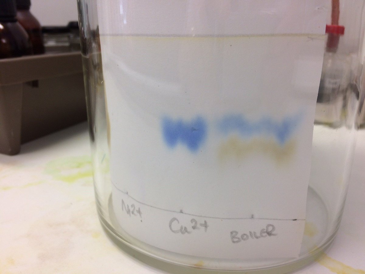 wforceChemistry's tweet photo. Further reaction with ammonia to visualise the spots. Colour chemistry! Can't think why Ni2+ was utterly uninterested? Ace chemistry lesson. https://t.co/ske9EaDPHf