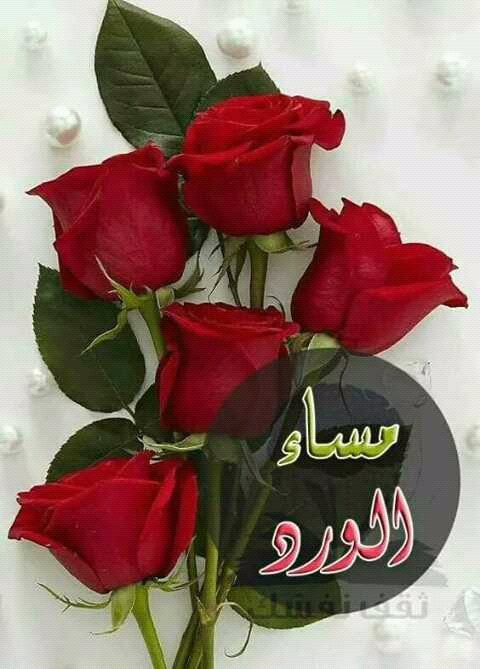 samtalhrof's tweet photo. كلما يجيء المساء
 اتسأءل
 وين انت وأنت وينكك 
وين الوعد إلي اشوفه 
في عيونك
#نقاء_الروحGp https://t.co/kxBGV8EYFC